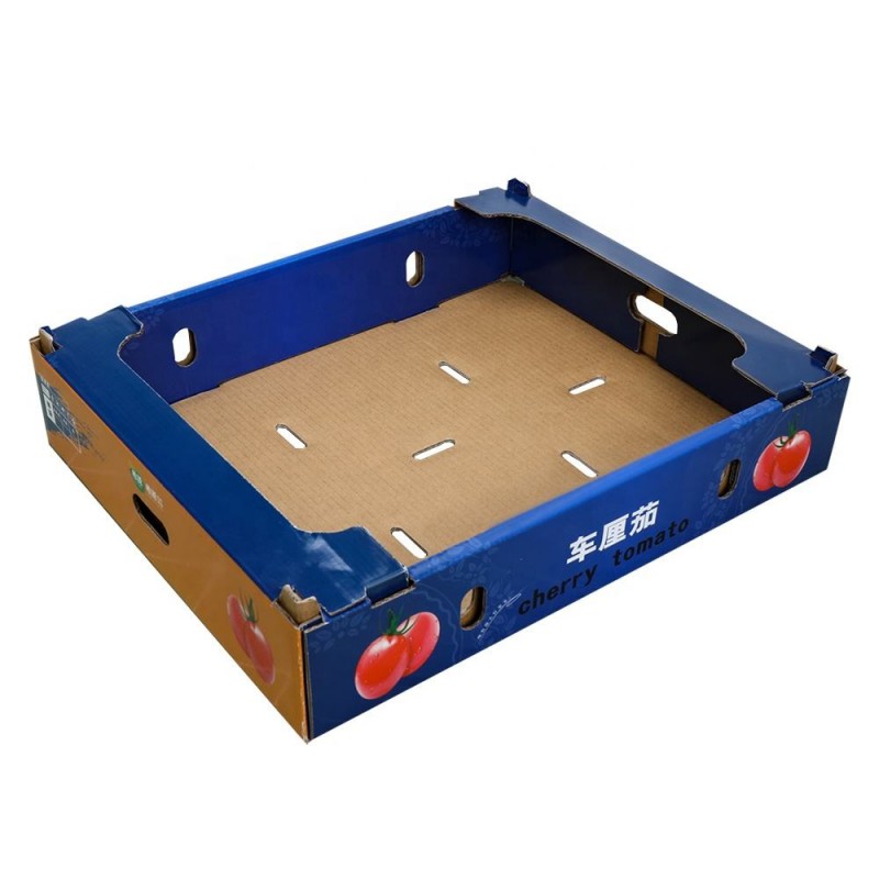Small Pizza Boxes & Cherry Tomato Packaging | Corrugated Carton Manufacturer Small Pizza Boxes & Cherry Tomato Packaging | Corrugated Carton Manufacturer
